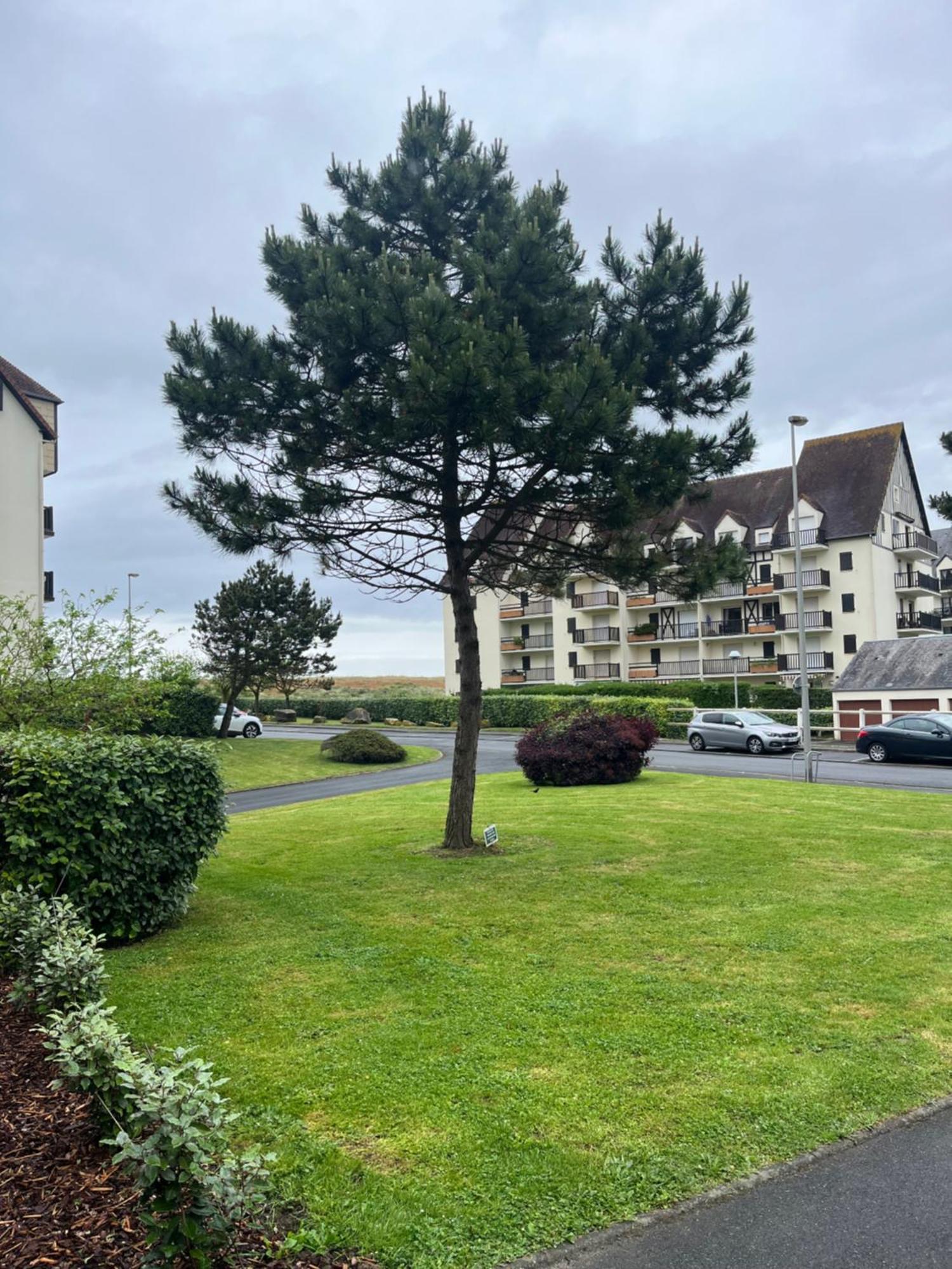 La Parenthese Cabourgeaise Apartamento Exterior foto